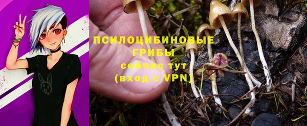 прущие крисы Алексин