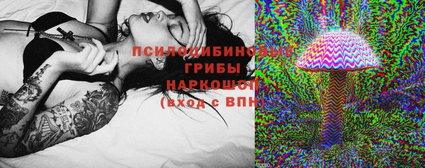 ПСИЛОЦИБИНОВЫЕ ГРИБЫ Алзамай